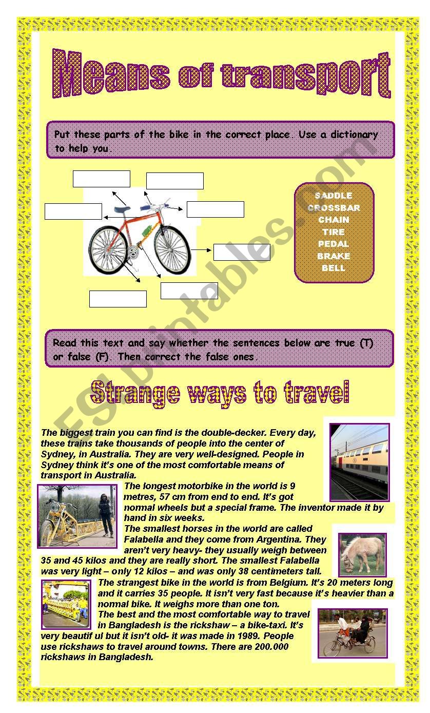 Means of transport worksheet