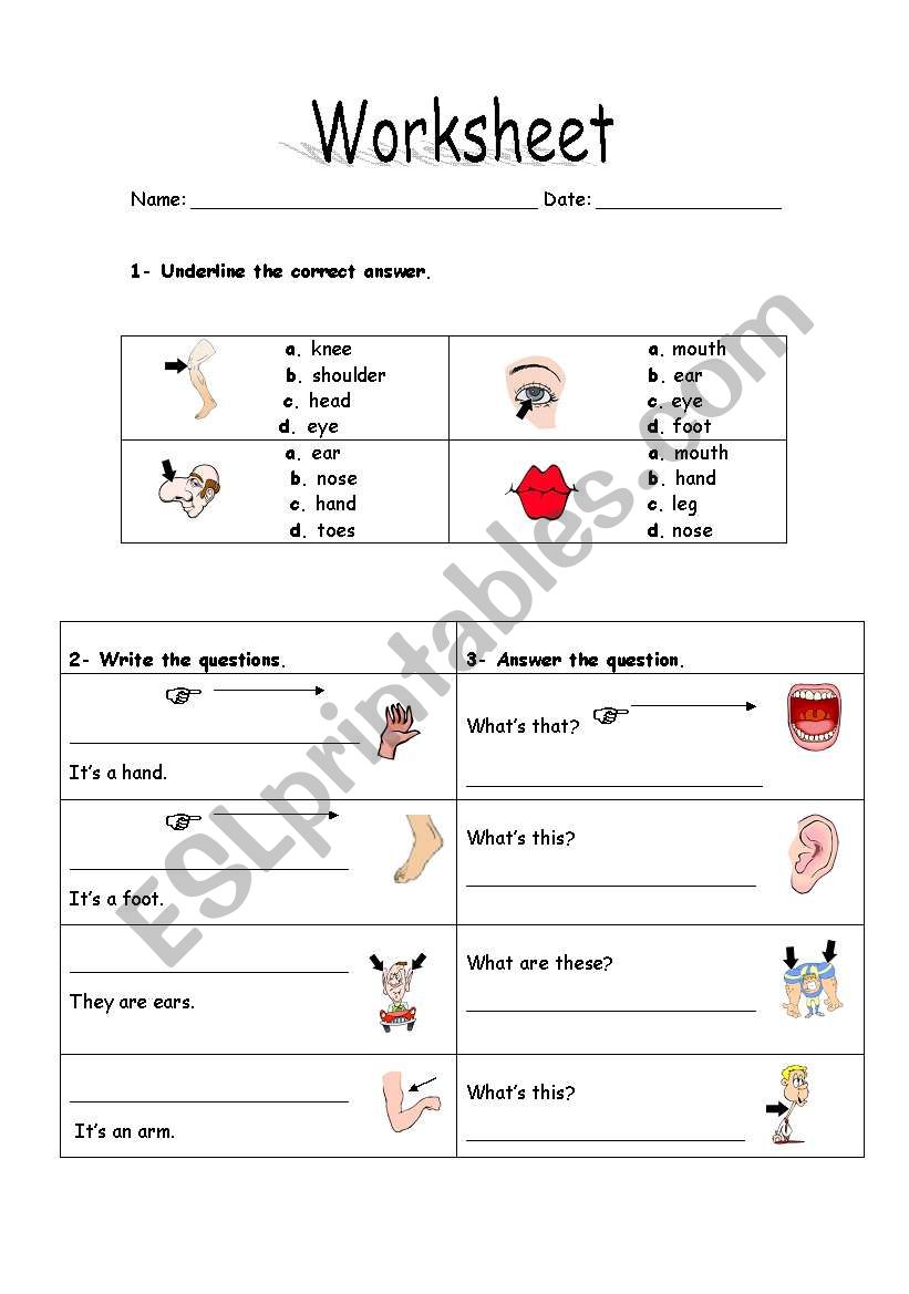 Body parts worksheet