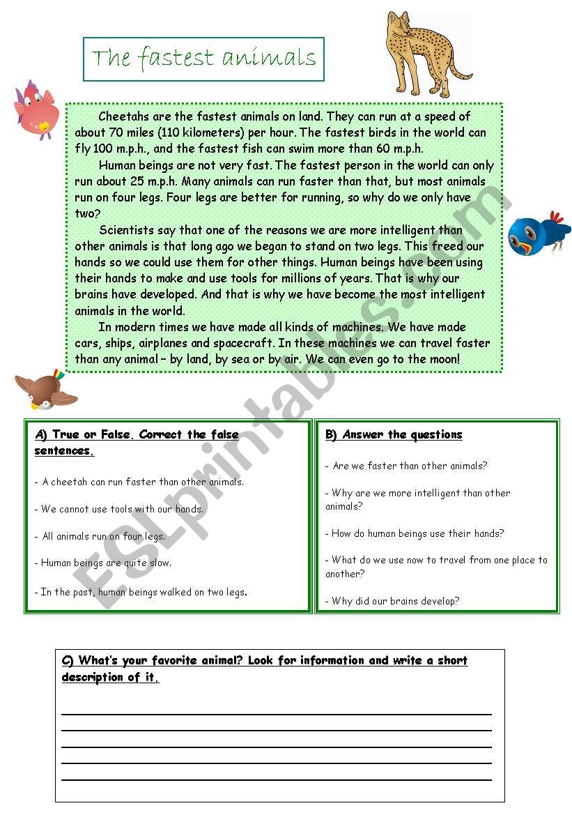 The fastest animals worksheet