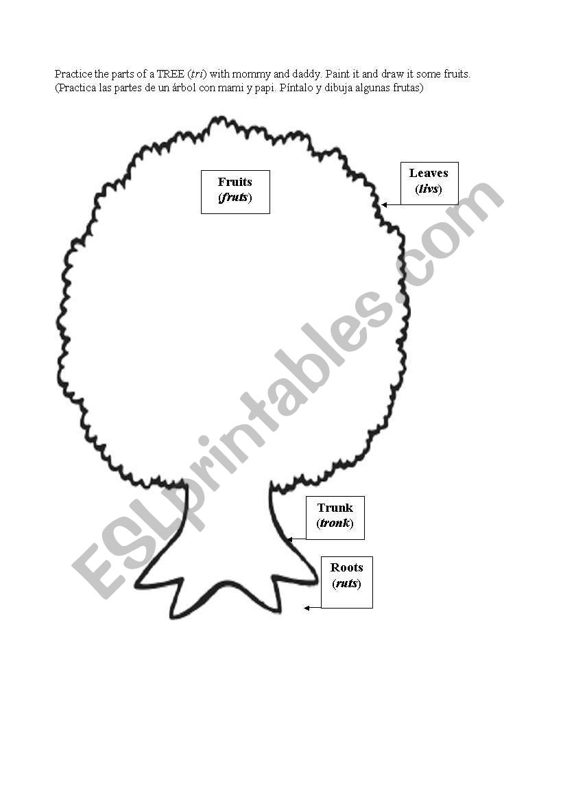 Parts of a tree worksheet