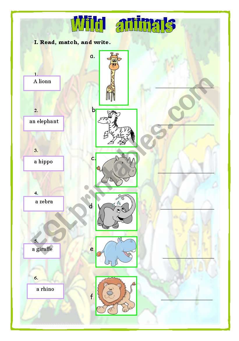 Wild animals worksheet