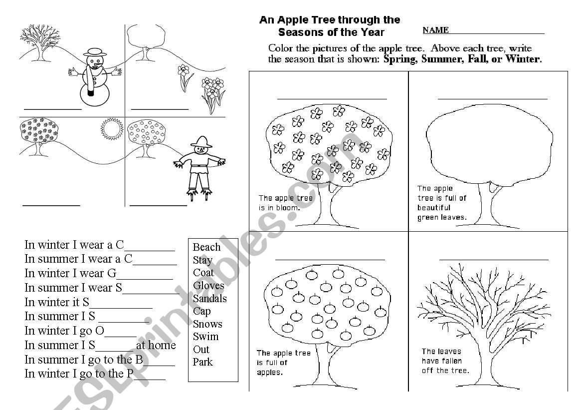 seasons worksheet