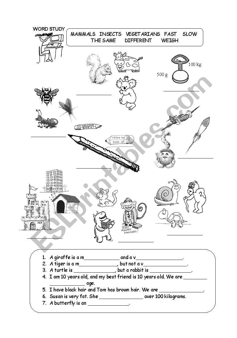 elephants worksheet