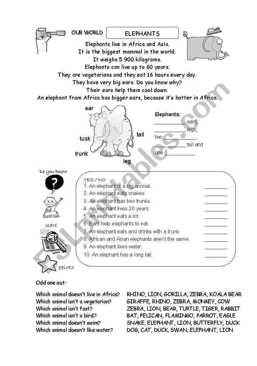 elephants worksheet