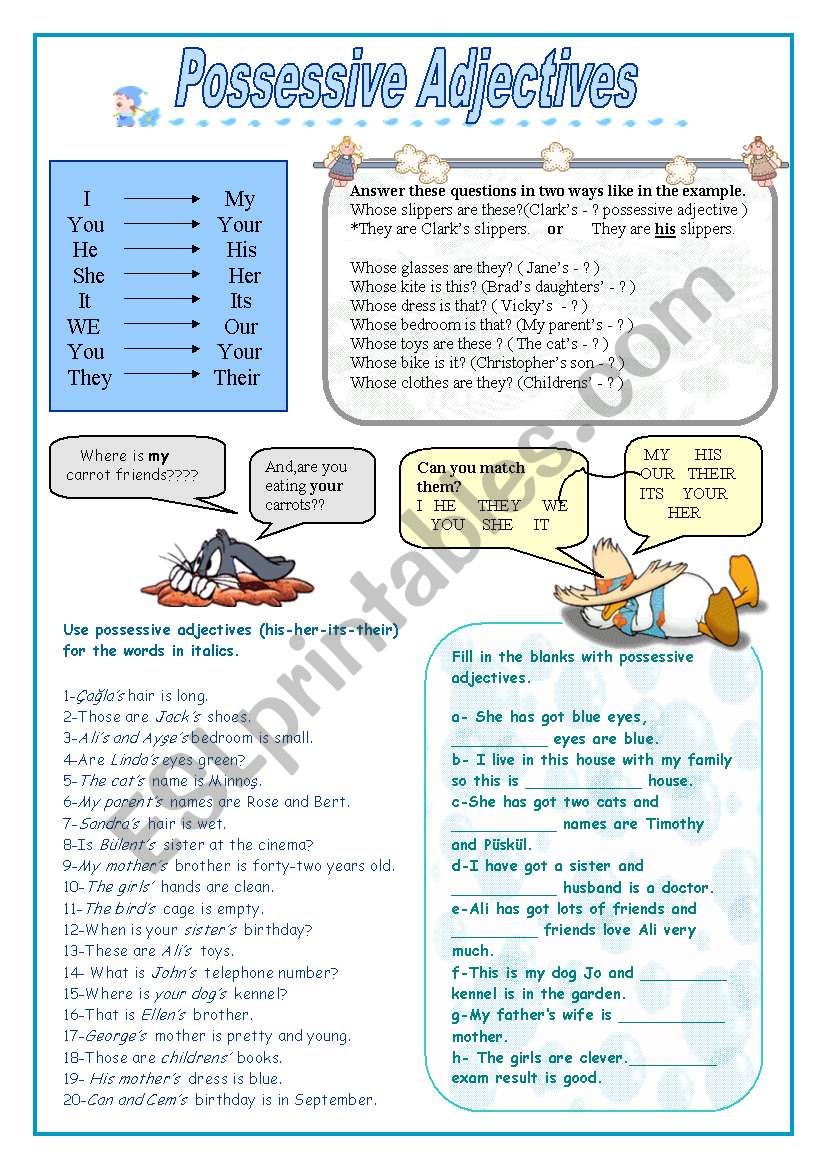 Possessive Adjectives worksheet