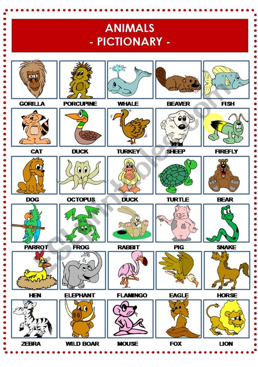 ANIMALS PICTIONARY worksheet