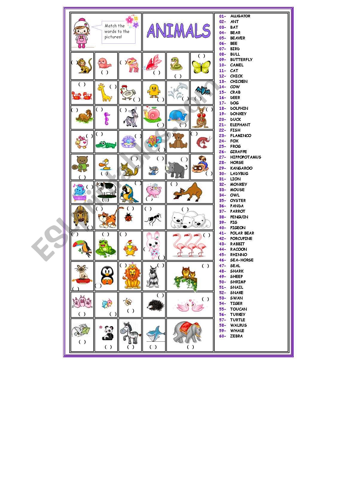 Animals - Vocabulary list and pictures