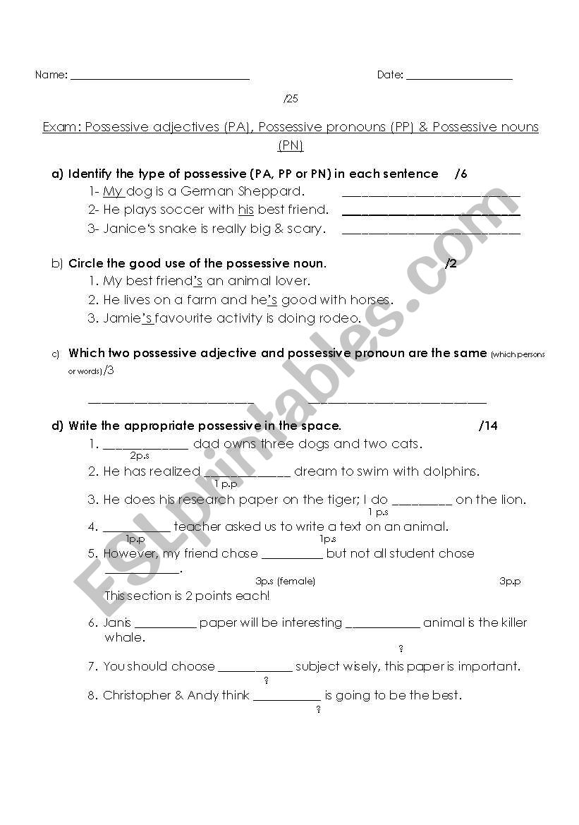 Exam: Possessive adjectives (PA), Possessive pronouns (PP) & Possessive nouns (PN)
