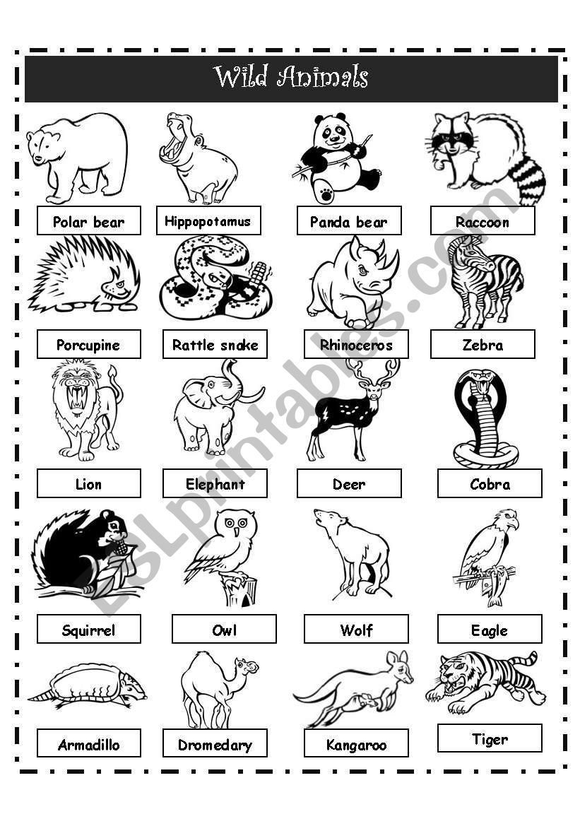 WILD ANIMALS PICTIONARY worksheet