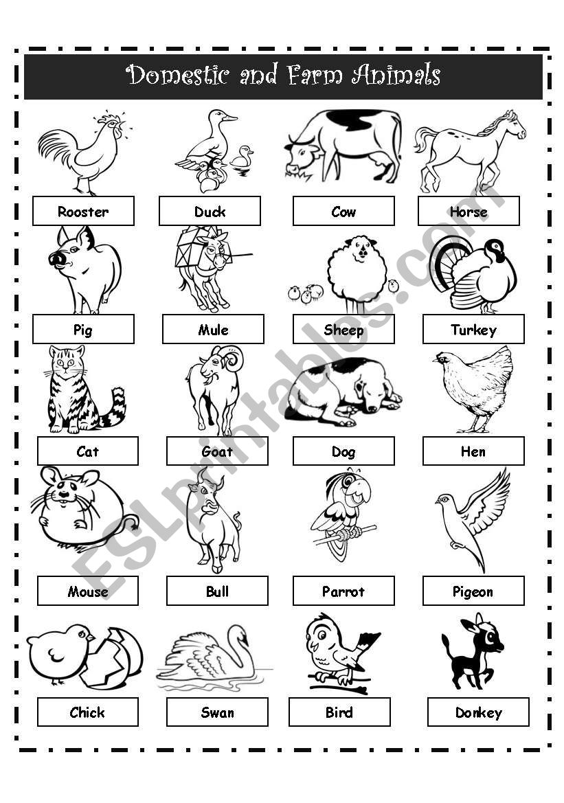 Domestic/farm animals pictionary - ESL worksheet by LA LUNA