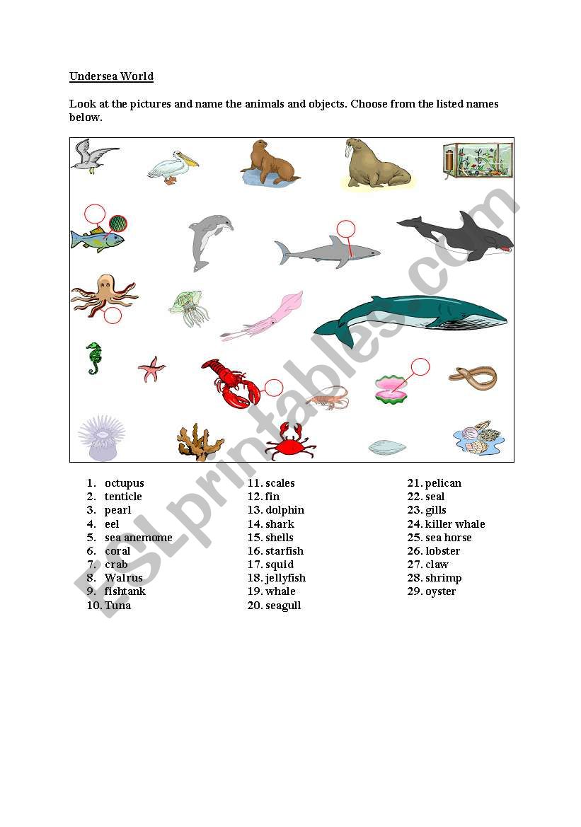 Undersea world (vocabulary) worksheet