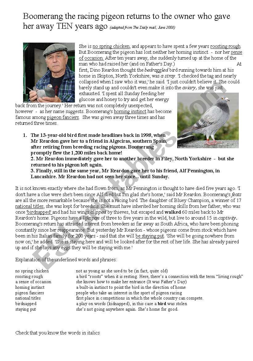 Boomerangs come back, don´t they? ESL worksheet by Amanda W