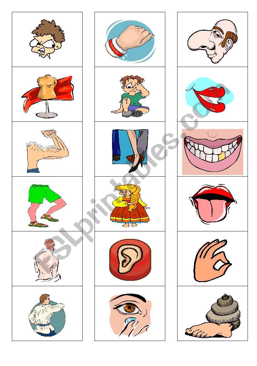 MEMORY GAME PARTS OF THE BODY worksheet