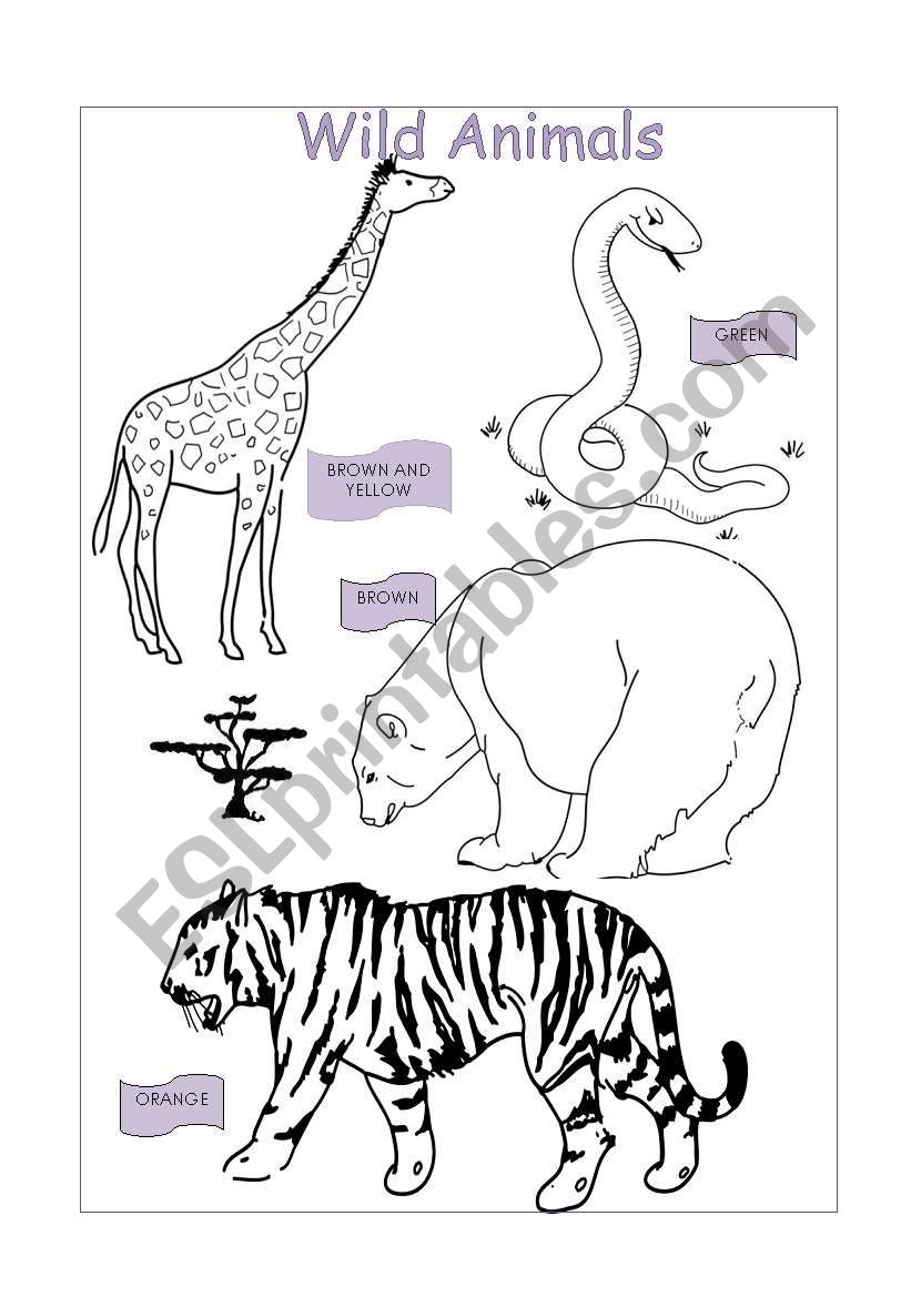 Wild Animals and Colours worksheet