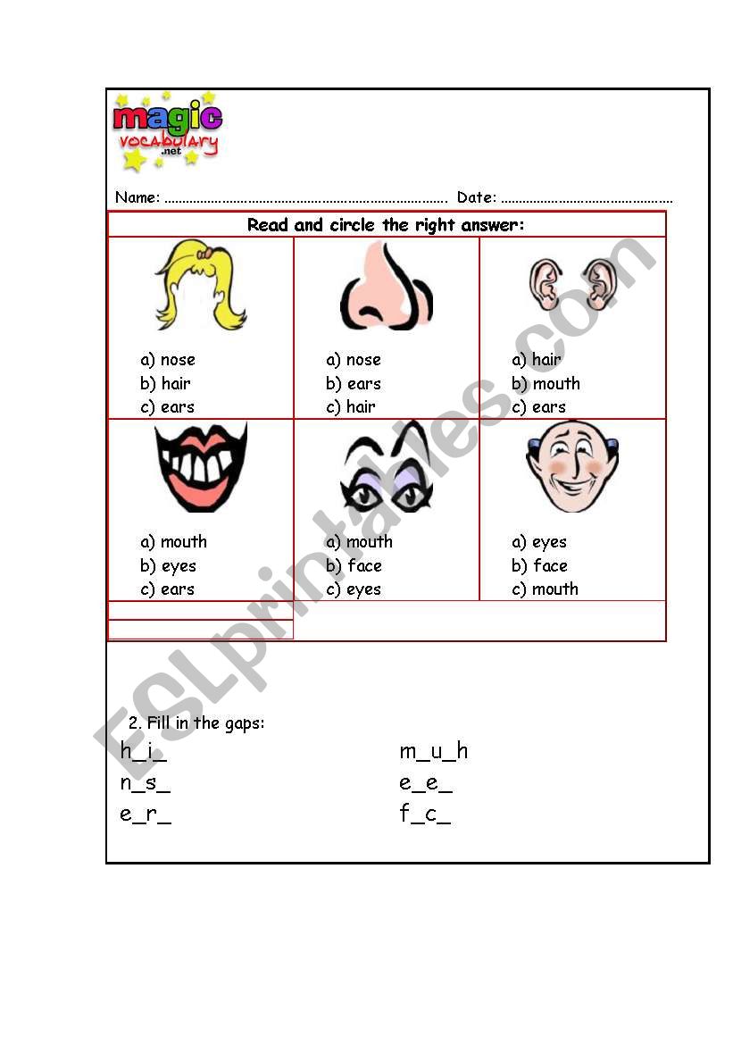 THE FACE worksheet