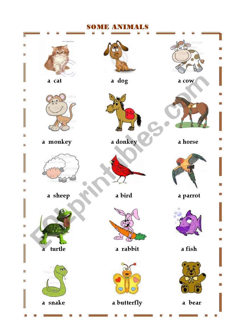 some animals worksheet