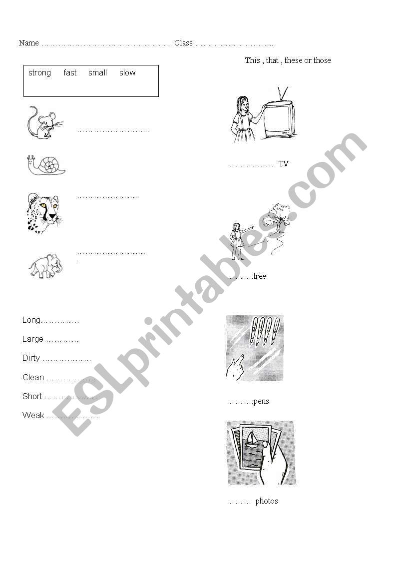 Extra test for Project 2 unit 2