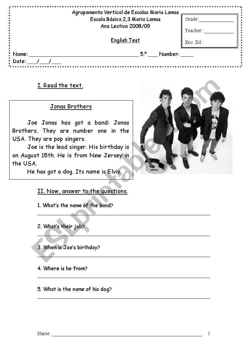 the jonas brothers - english test