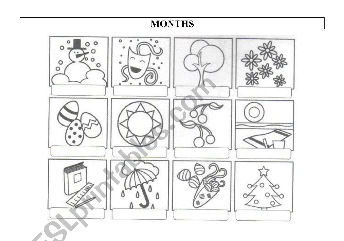 Months worksheet worksheet