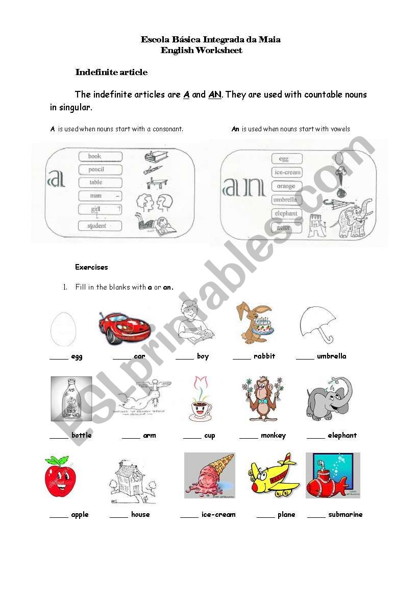 Indefinite article worksheet