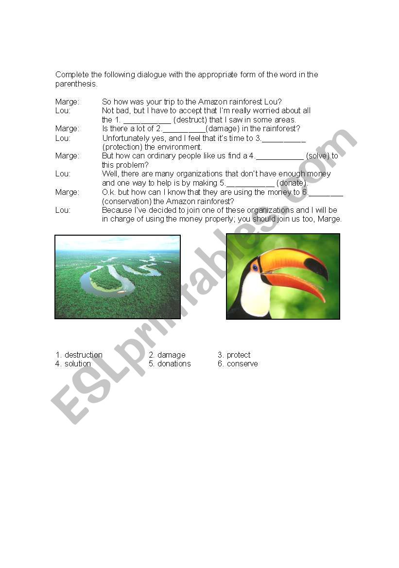 The Amazon rainforest  worksheet