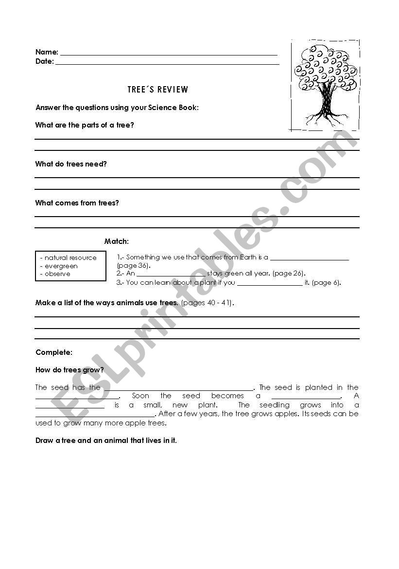 Trees Review worksheet