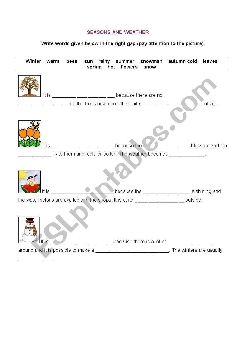 SEASONS AND WEATHER worksheet