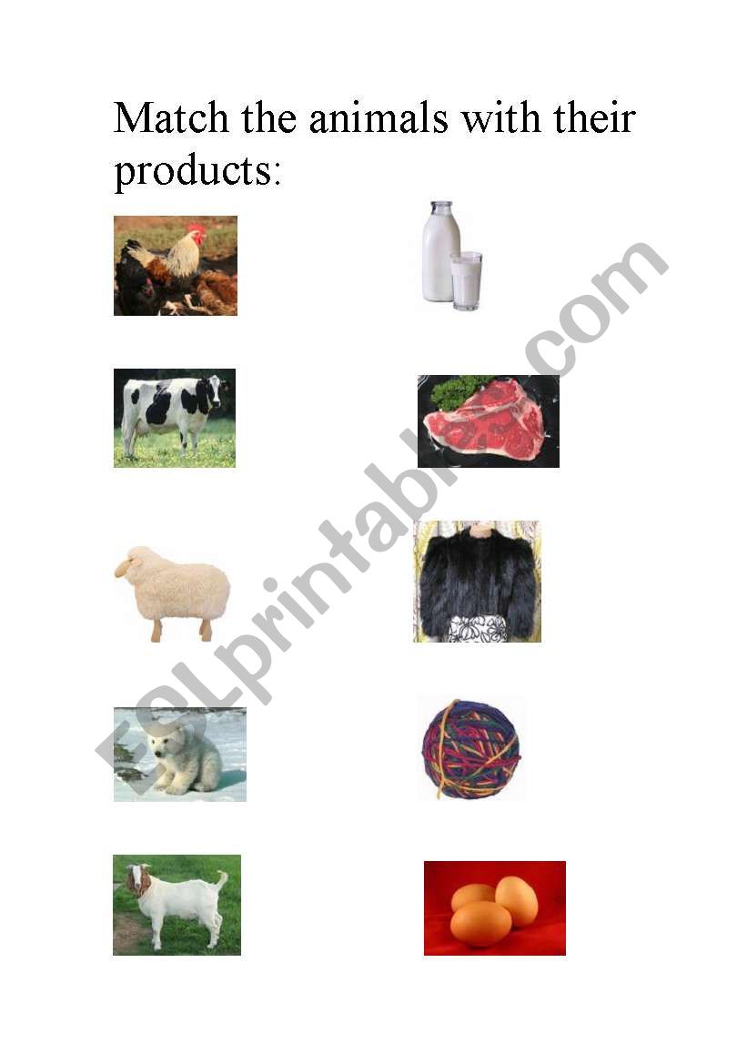 Animals and their products. worksheet