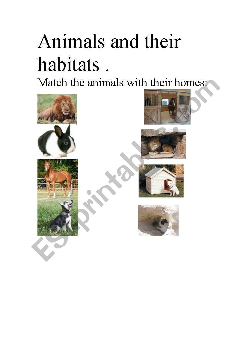 Animals habitat. worksheet