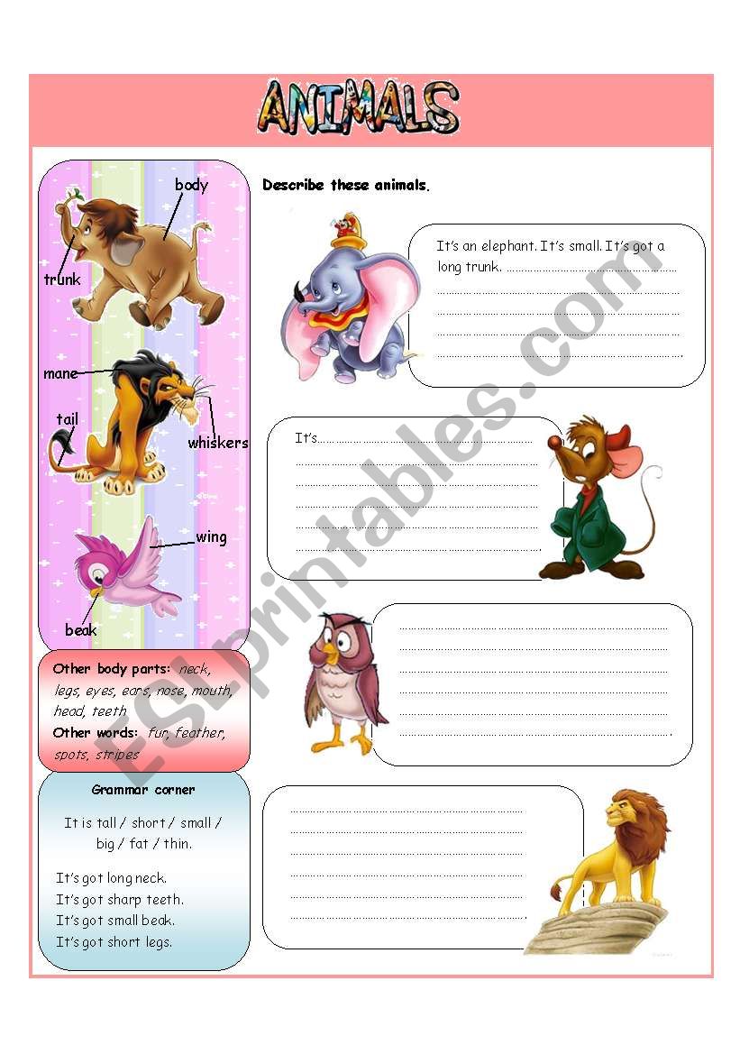 AnimalsÂ´ descriptions - II part