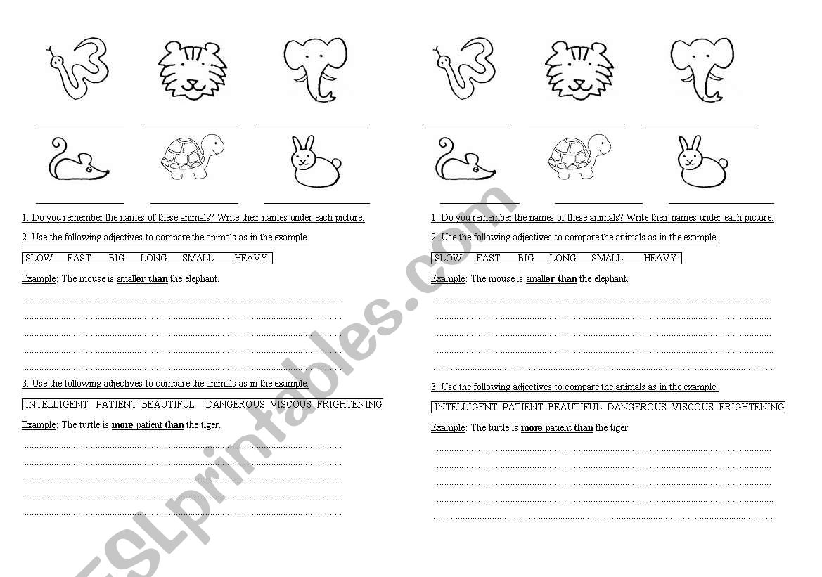 Comparatives animals worksheet