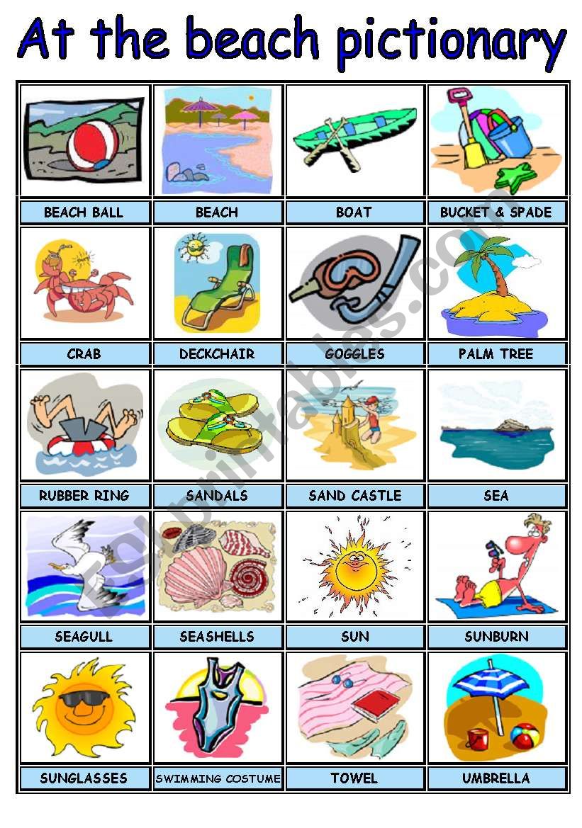 SUMMER / AT THE BEACH PICTURE DICTIONARY 