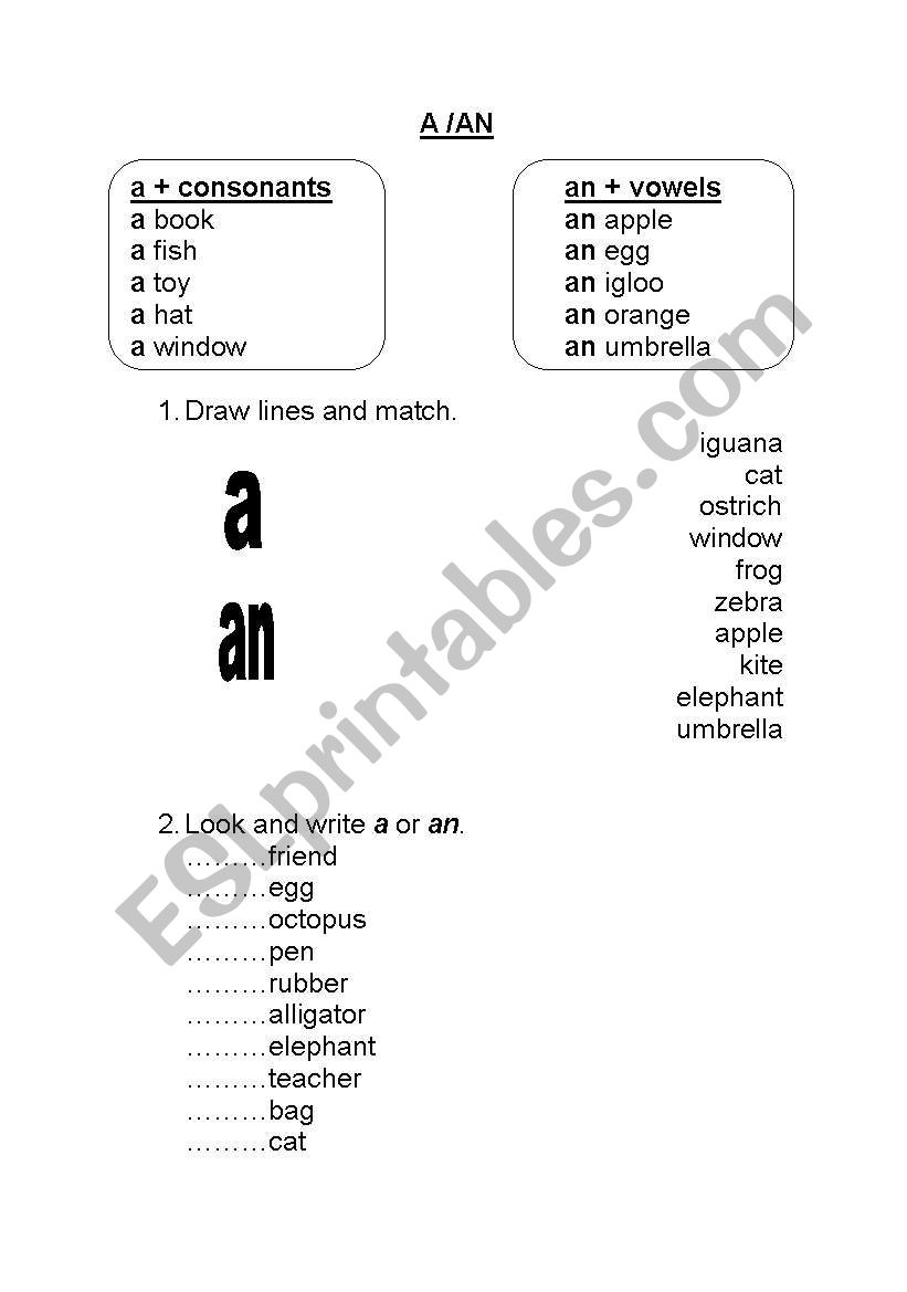 A/AN. - PLURALS worksheet