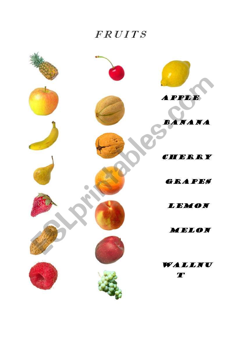 FRUITS worksheet