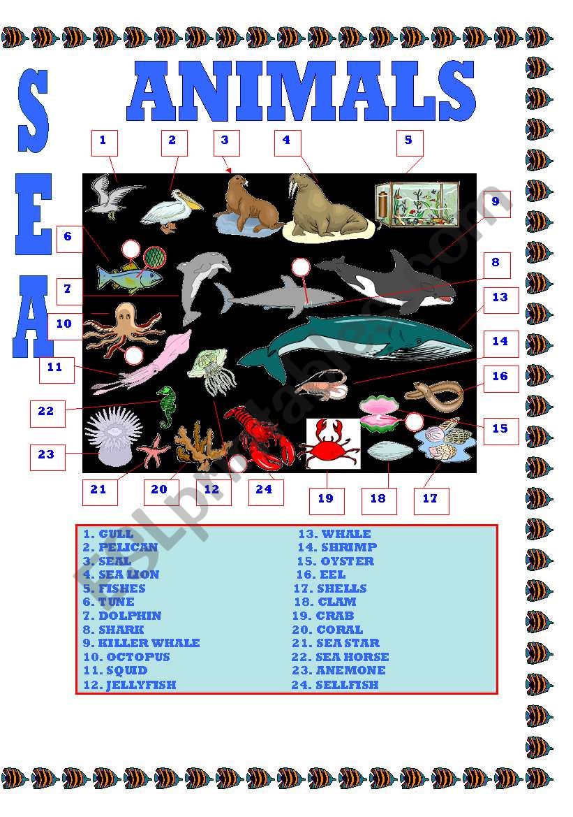 SEA ANIMALS worksheet