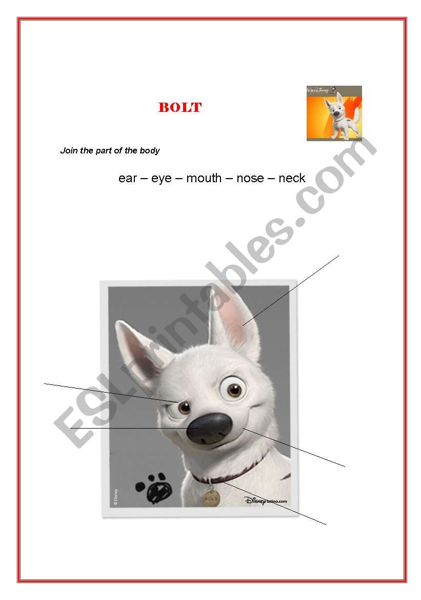 bolt worksheet