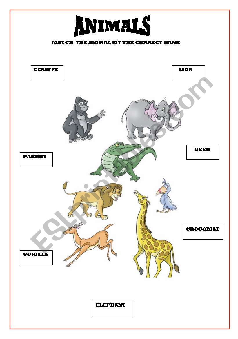 ANIMALS worksheet