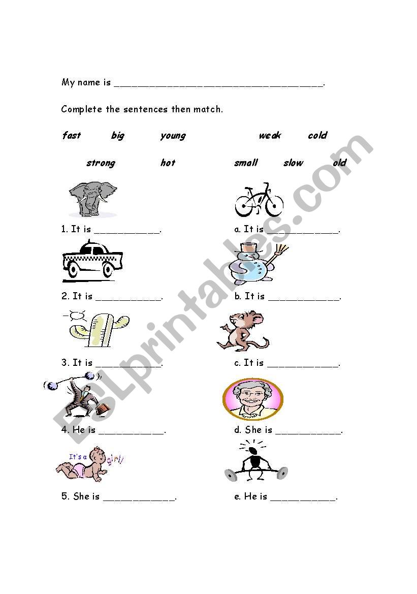 Opposites worksheet