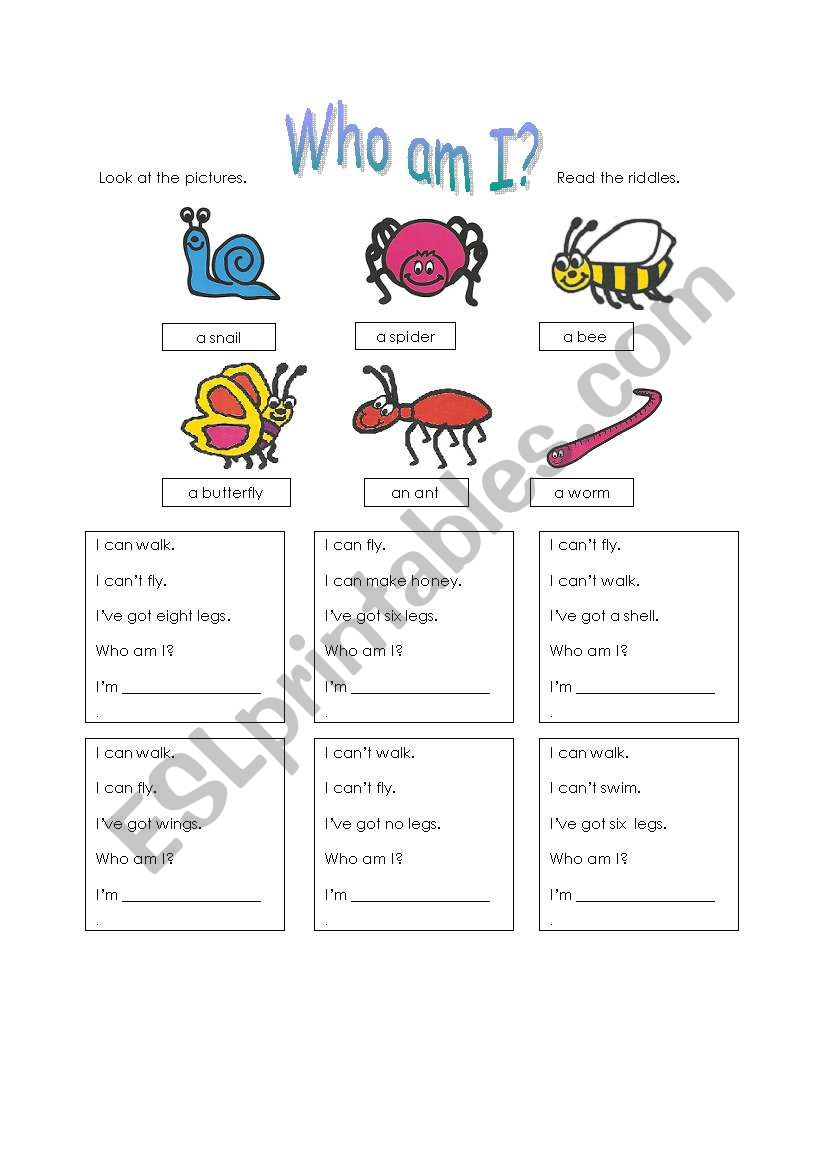 Minibeast riddles worksheet