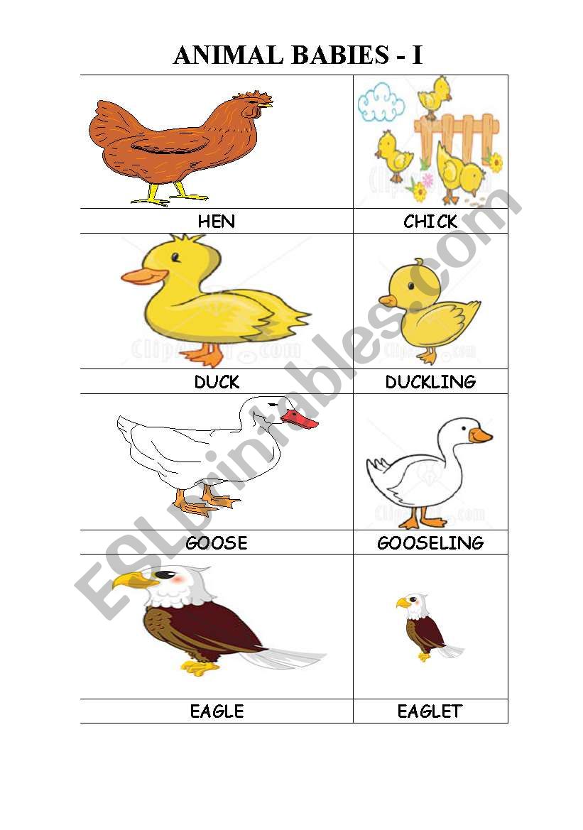 ANIMAL BABIES - I worksheet