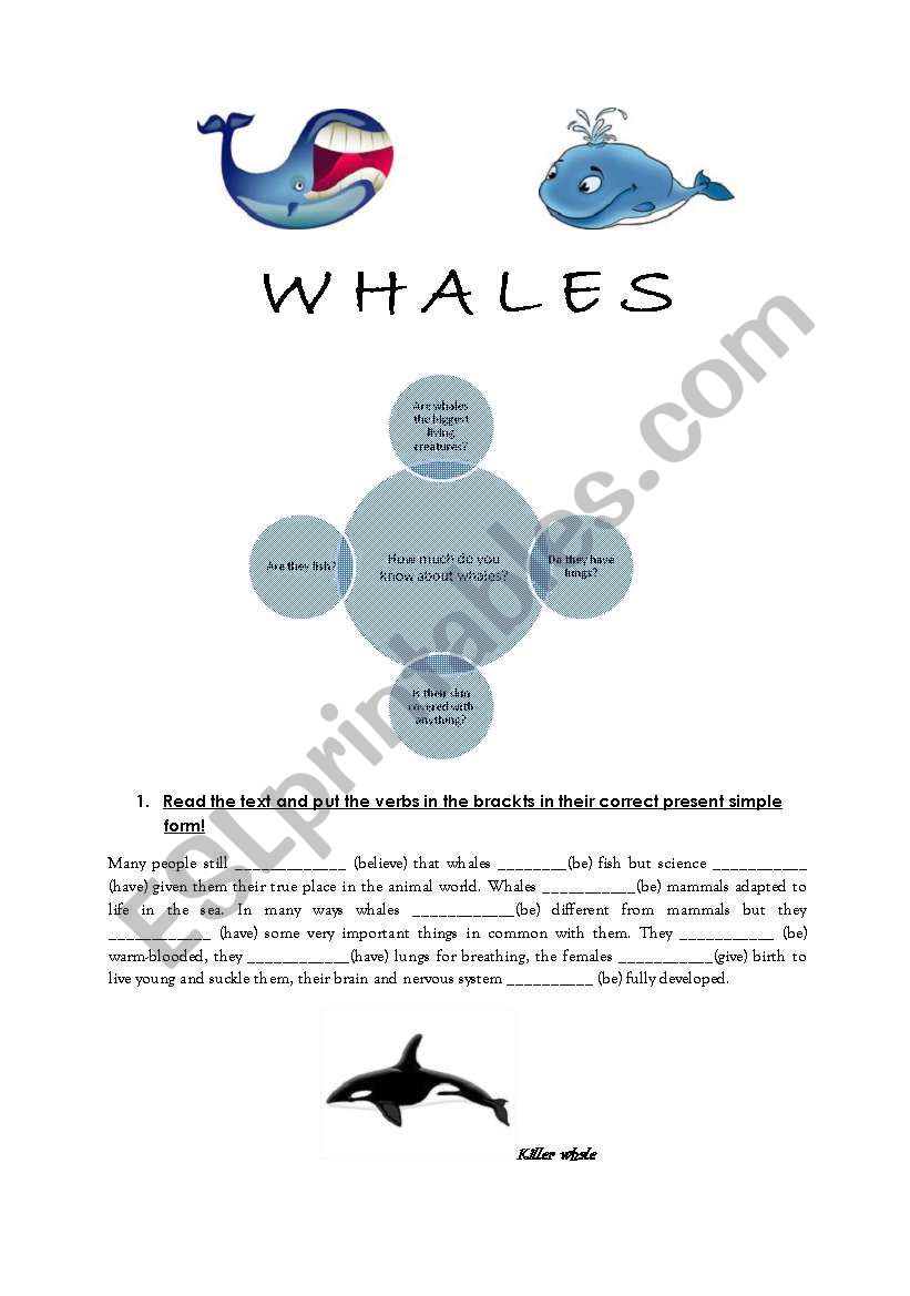 WHALES worksheet