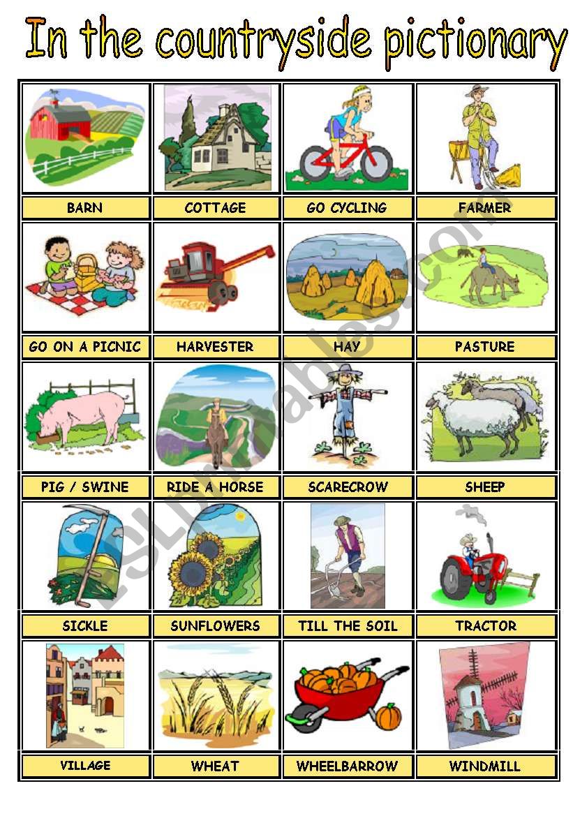 IN THE COUNTRYSIDE PICTURE DICTIONARY