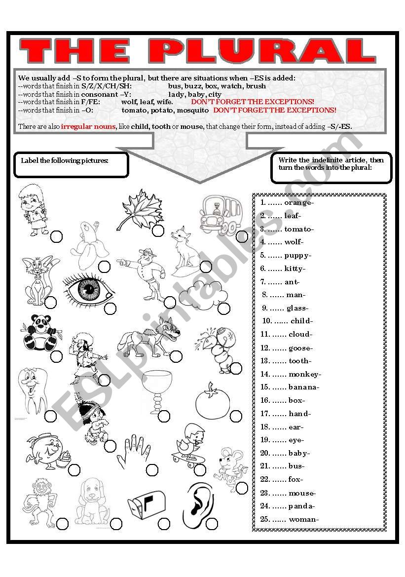 THE PLURAL worksheet