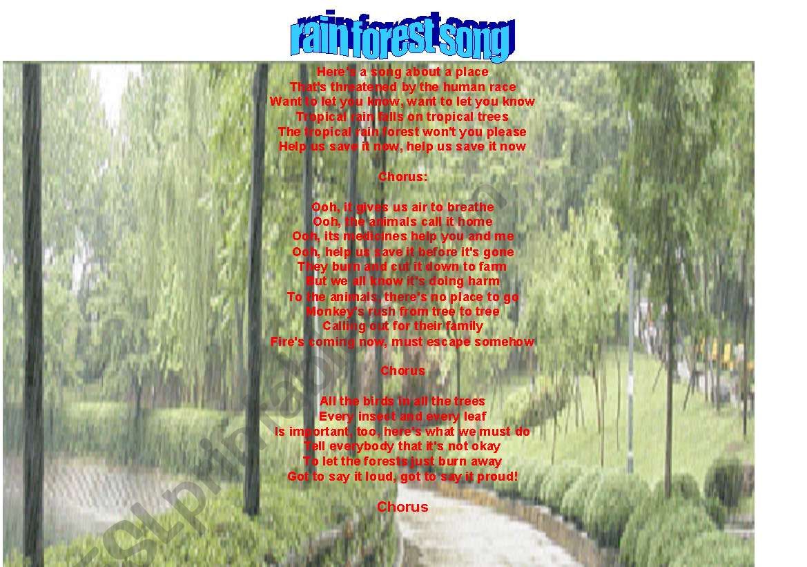 rain forest song worksheet