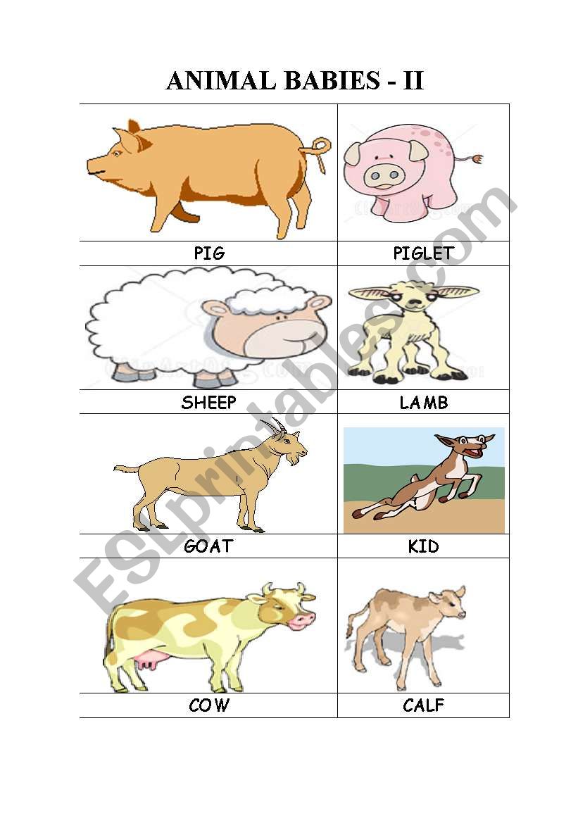 ANIMAL BABIES - II worksheet