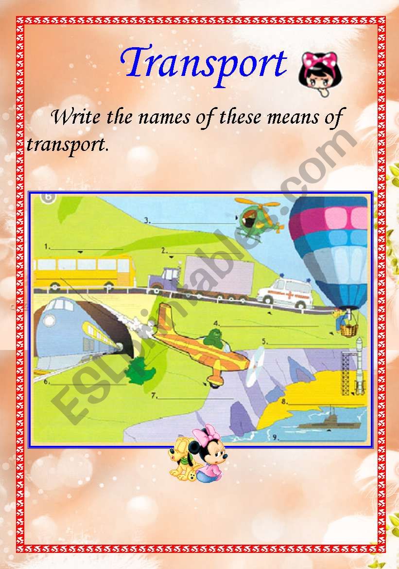 Transport worksheet