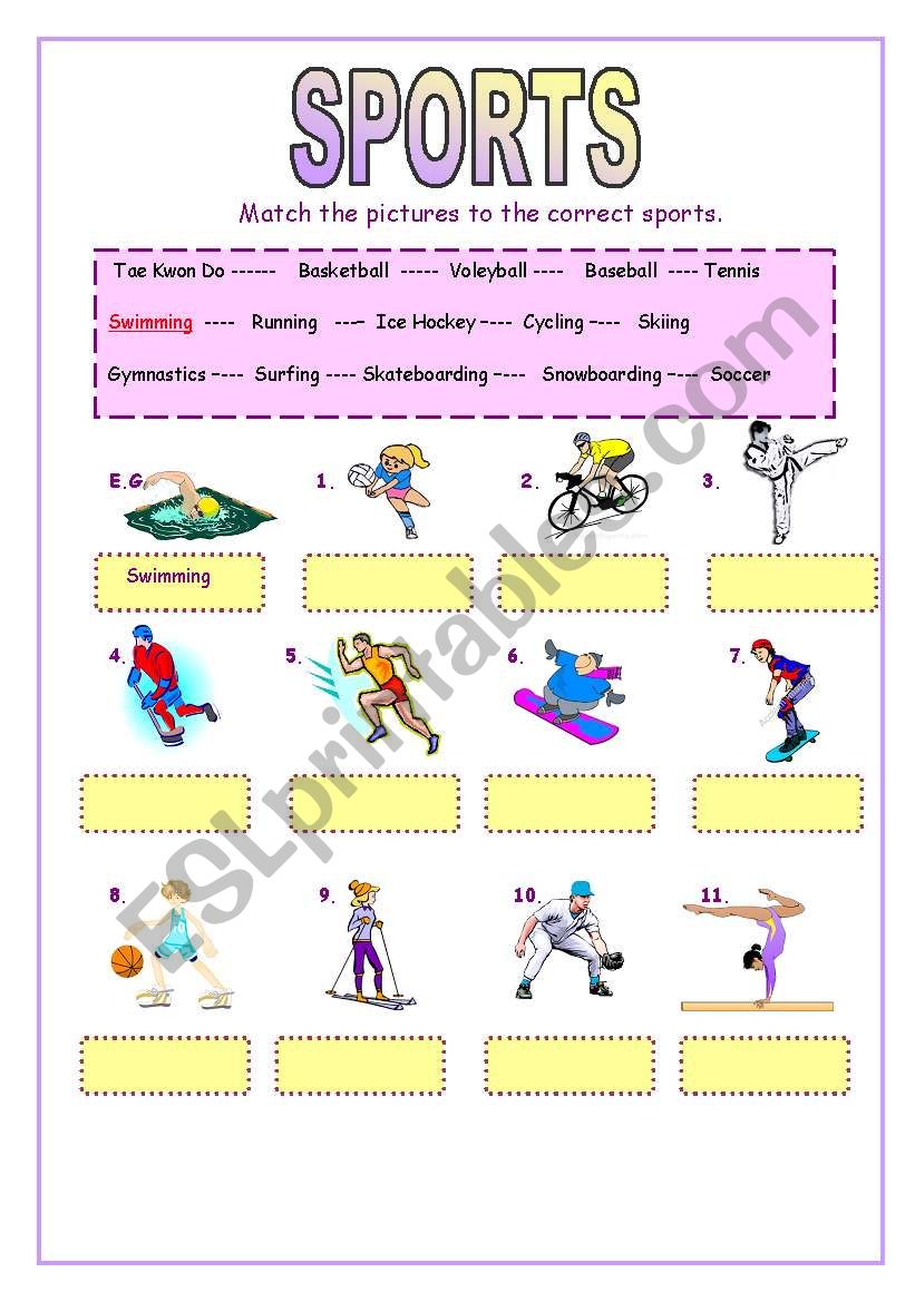 sports worksheet