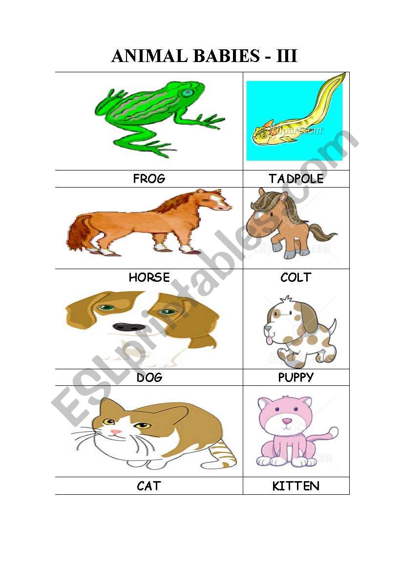 ANIMAL BABIES - II worksheet