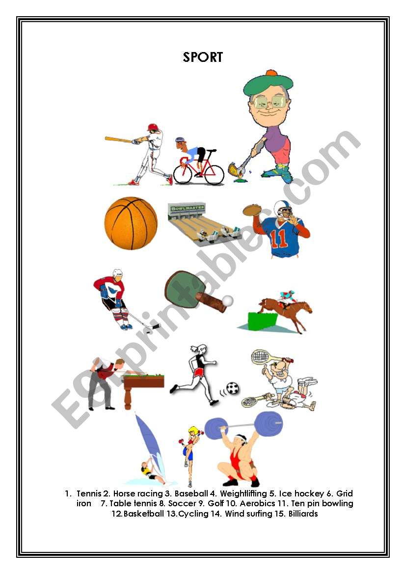 Sport worksheet