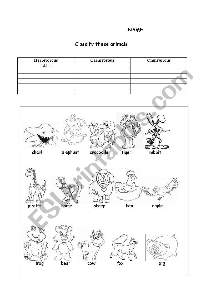 animals worksheet